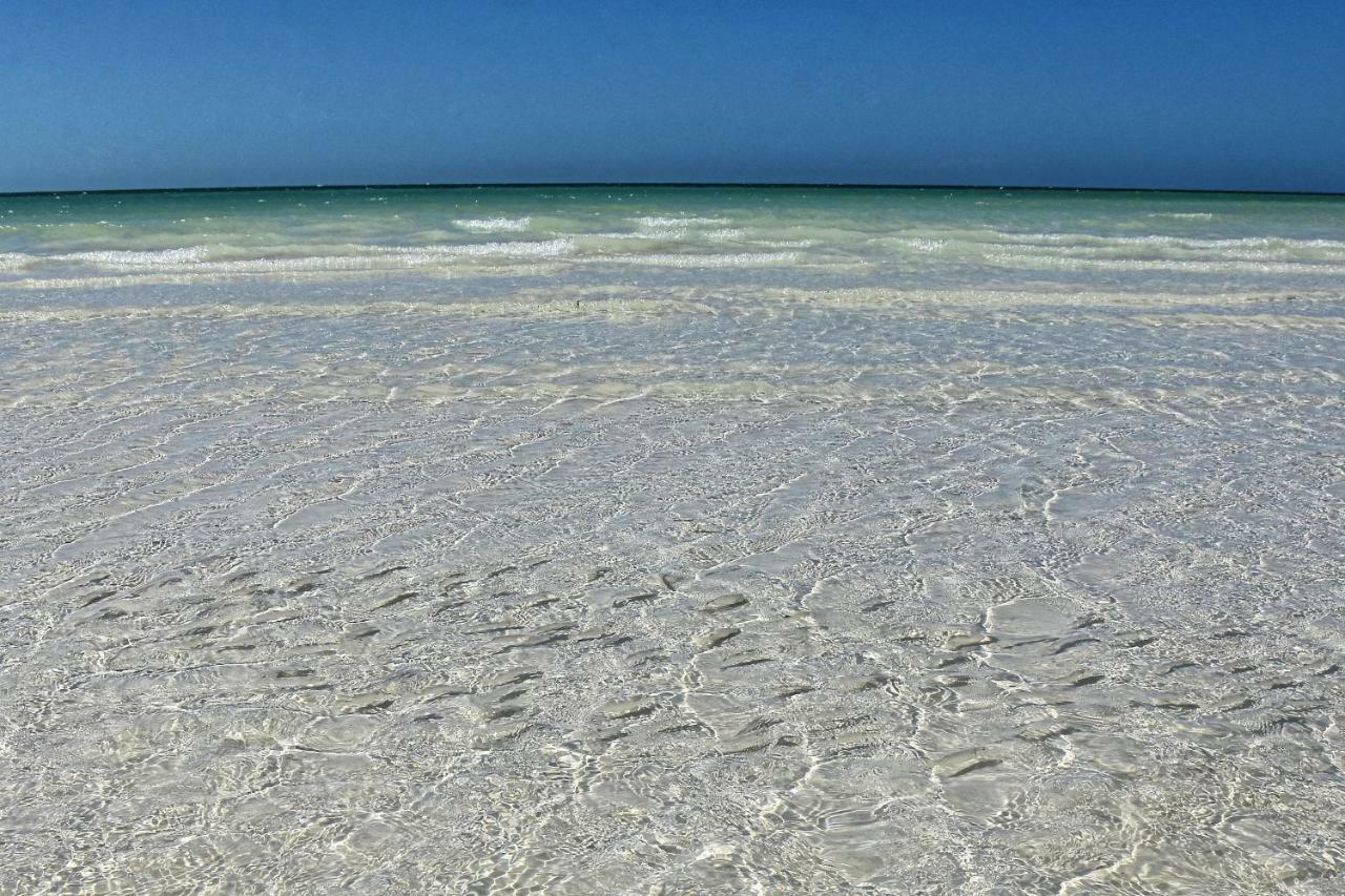 Hotel Moon Dreams Yum Balam Isla Holbox Exteriér fotografie