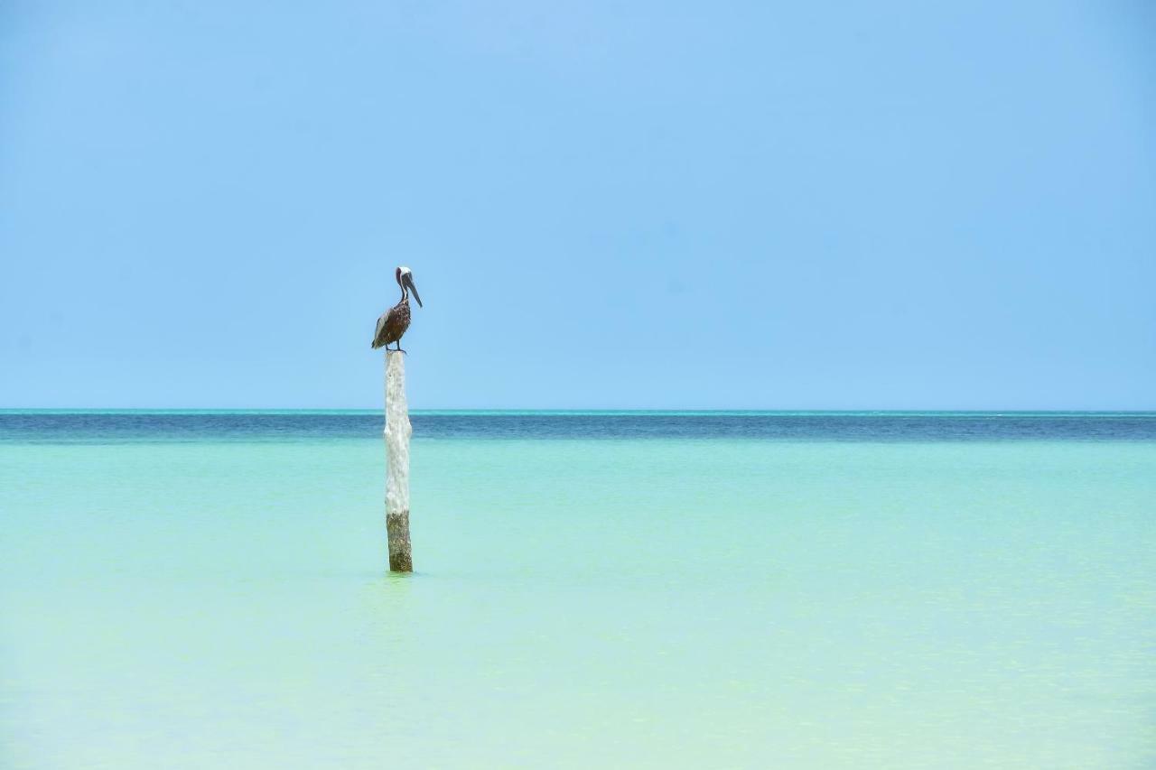 Hotel Moon Dreams Yum Balam Isla Holbox Exteriér fotografie